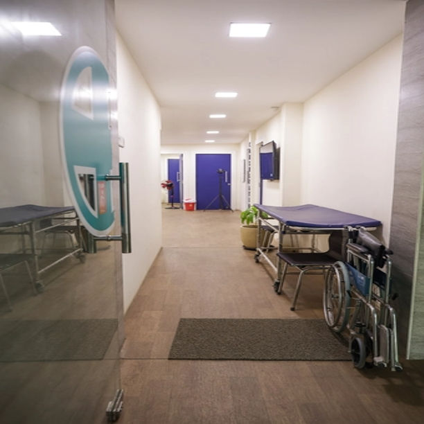 RANZ9995-copy_imresizer