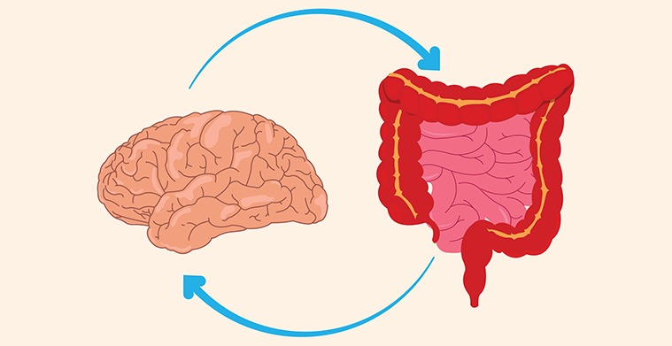 How Stress Affects Your Gut Health