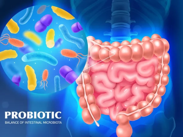Top 5 Myths About Gut Health Debunked