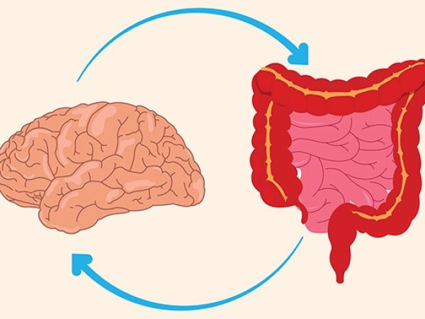 How Stress Affects Your Gut and What You Can Do About It